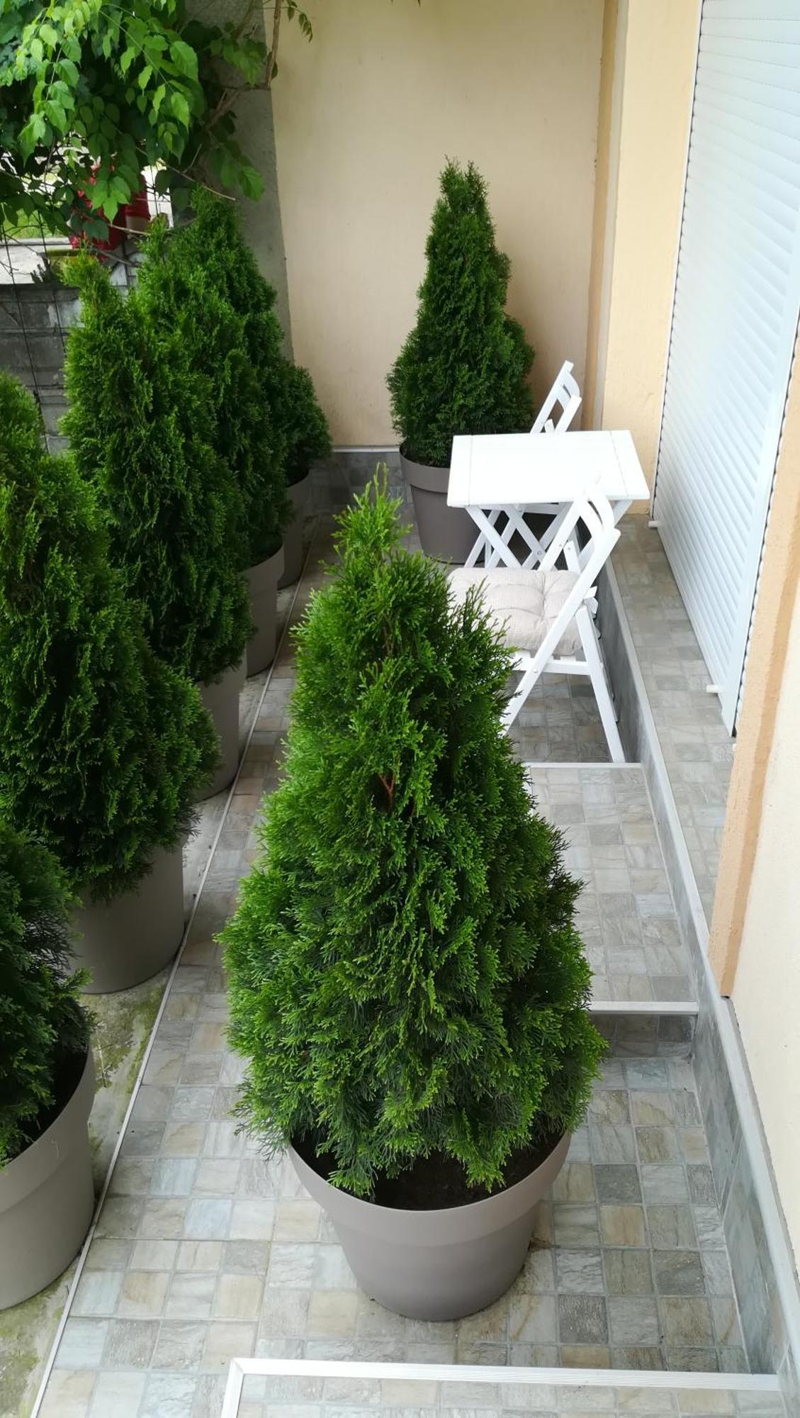M4U Apartments Ниш Экстерьер фото